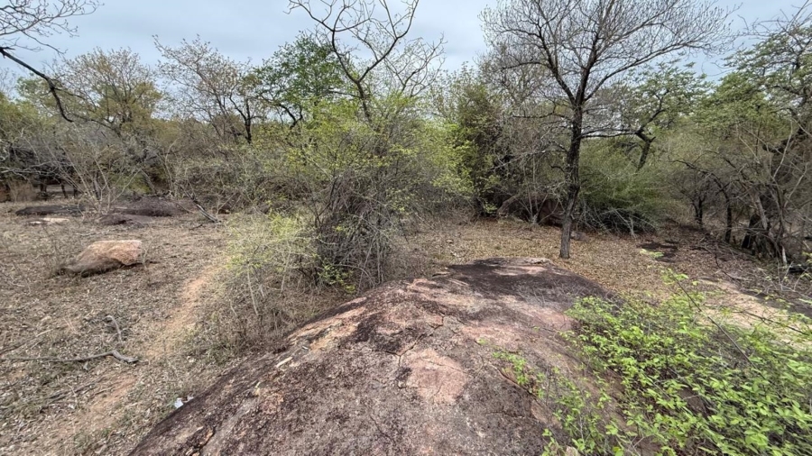 0 Bedroom Property for Sale in Sabie Park Mpumalanga