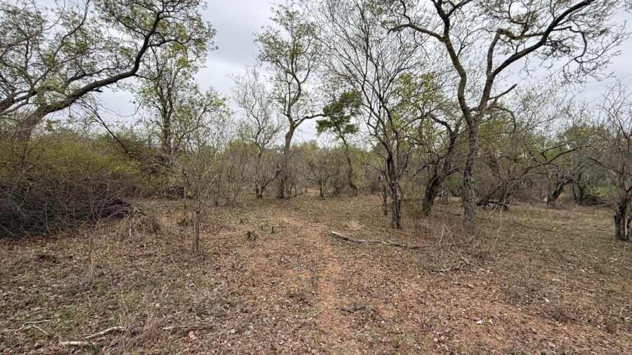 0 Bedroom Property for Sale in Sabie Park Mpumalanga