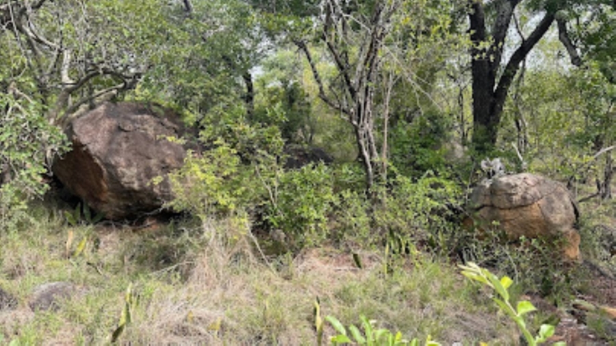 0 Bedroom Property for Sale in Sabie Park Mpumalanga