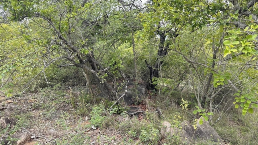 0 Bedroom Property for Sale in Sabie Park Mpumalanga