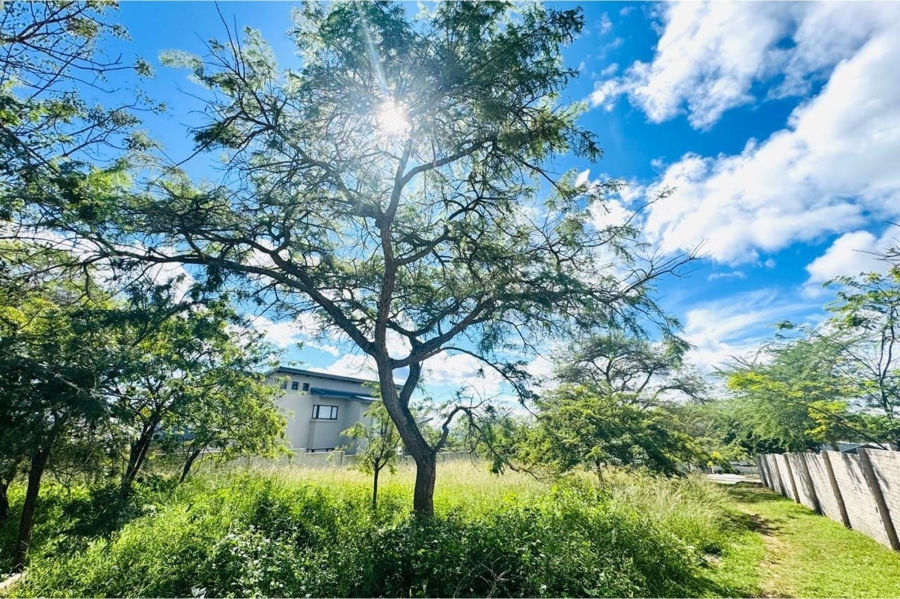 0 Bedroom Property for Sale in The Rest Nature Estate Mpumalanga