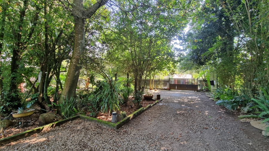 Commercial Property for Sale in Graskop Mpumalanga