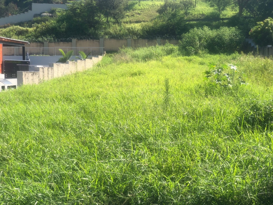 0 Bedroom Property for Sale in Drum Rock Mpumalanga