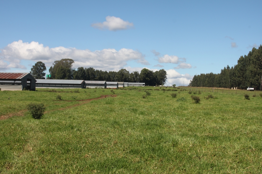 Commercial Property for Sale in Piet Retief Mpumalanga
