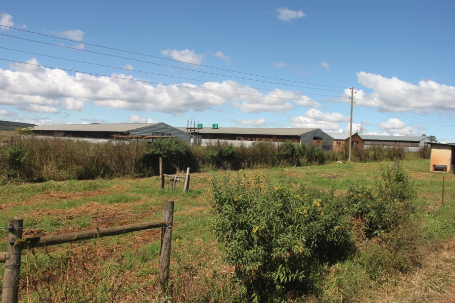 Commercial Property for Sale in Piet Retief Mpumalanga