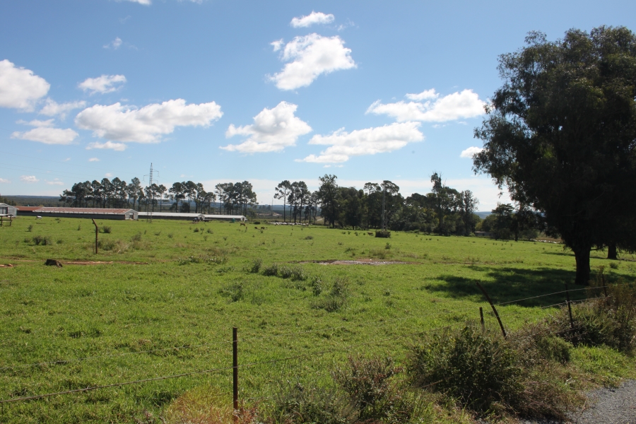 Commercial Property for Sale in Piet Retief Mpumalanga