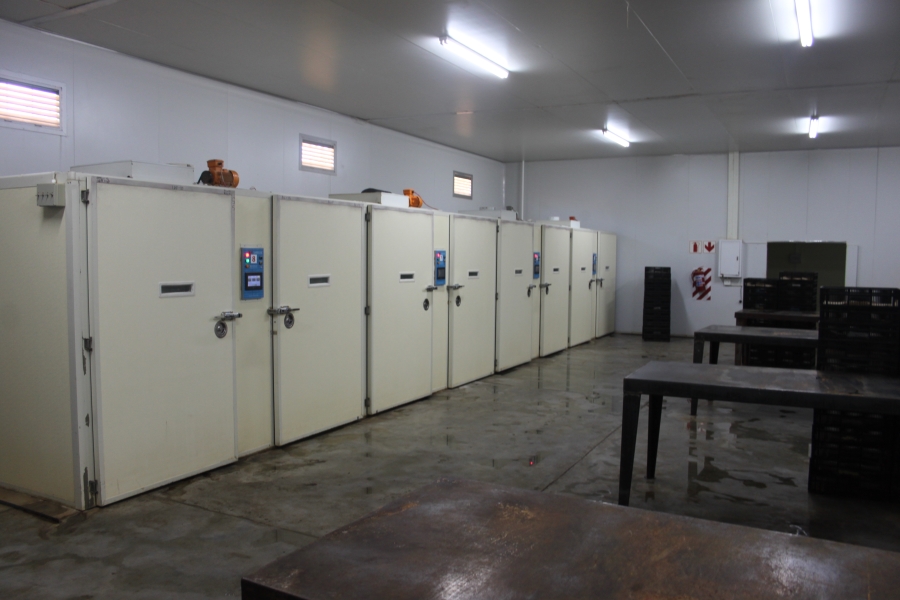 Commercial Property for Sale in Piet Retief Mpumalanga