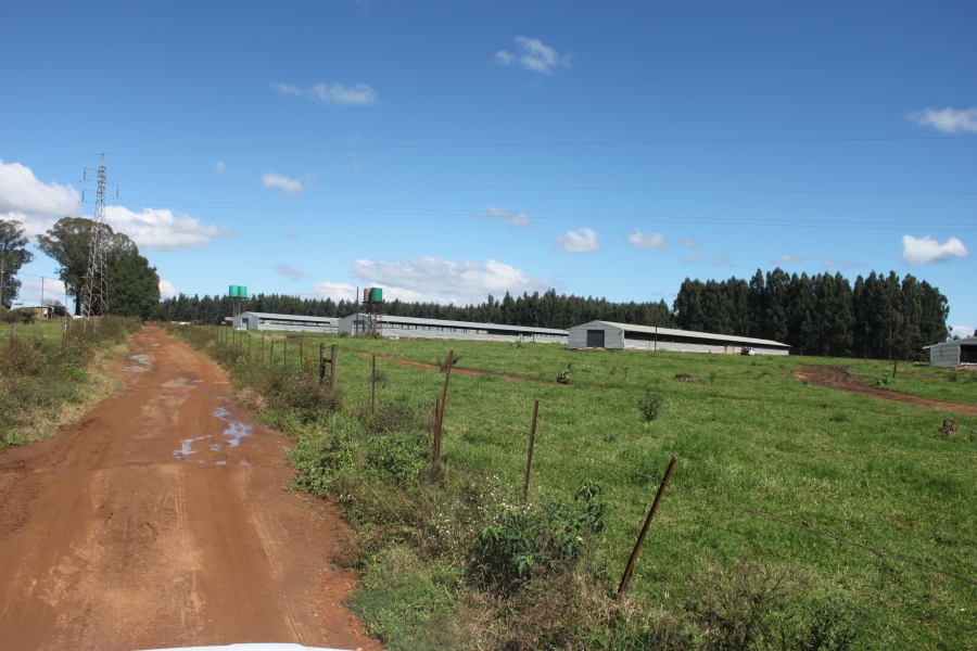 Commercial Property for Sale in Piet Retief Mpumalanga