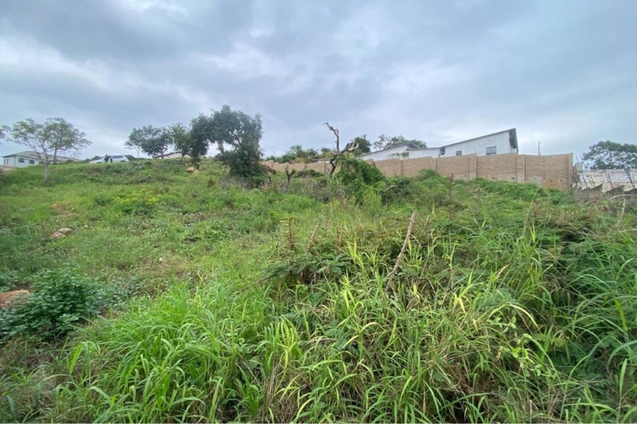 0 Bedroom Property for Sale in Drum Rock Mpumalanga