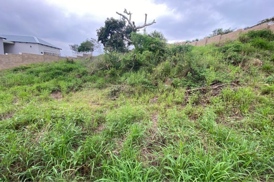 0 Bedroom Property for Sale in Drum Rock Mpumalanga