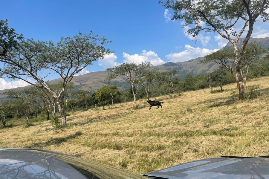 3 Bedroom Property for Sale in Nelspruit Rural Mpumalanga
