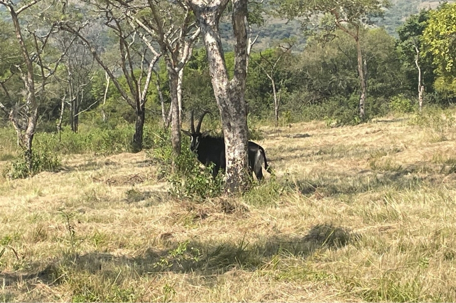 3 Bedroom Property for Sale in Nelspruit Rural Mpumalanga
