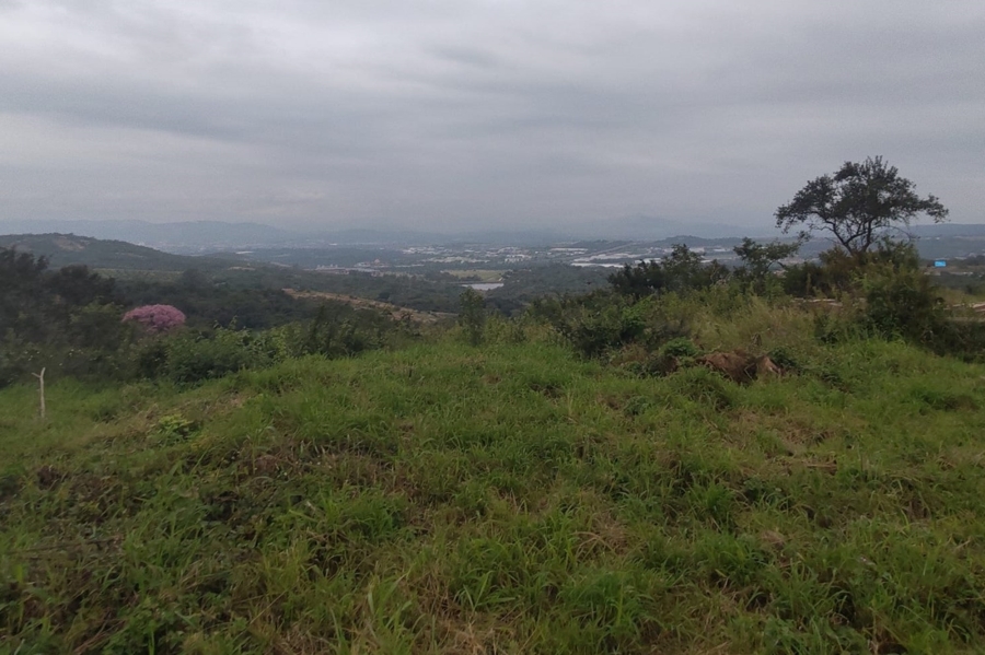 0 Bedroom Property for Sale in Drum Rock Mpumalanga