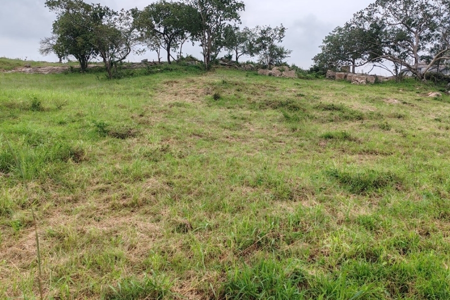 0 Bedroom Property for Sale in Drum Rock Mpumalanga