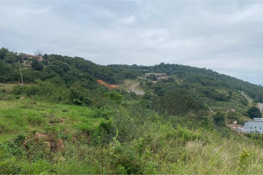 0 Bedroom Property for Sale in Drum Rock Mpumalanga