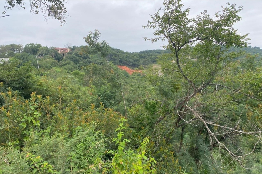 0 Bedroom Property for Sale in Drum Rock Mpumalanga