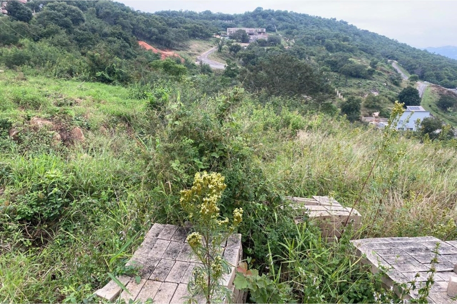 0 Bedroom Property for Sale in Drum Rock Mpumalanga