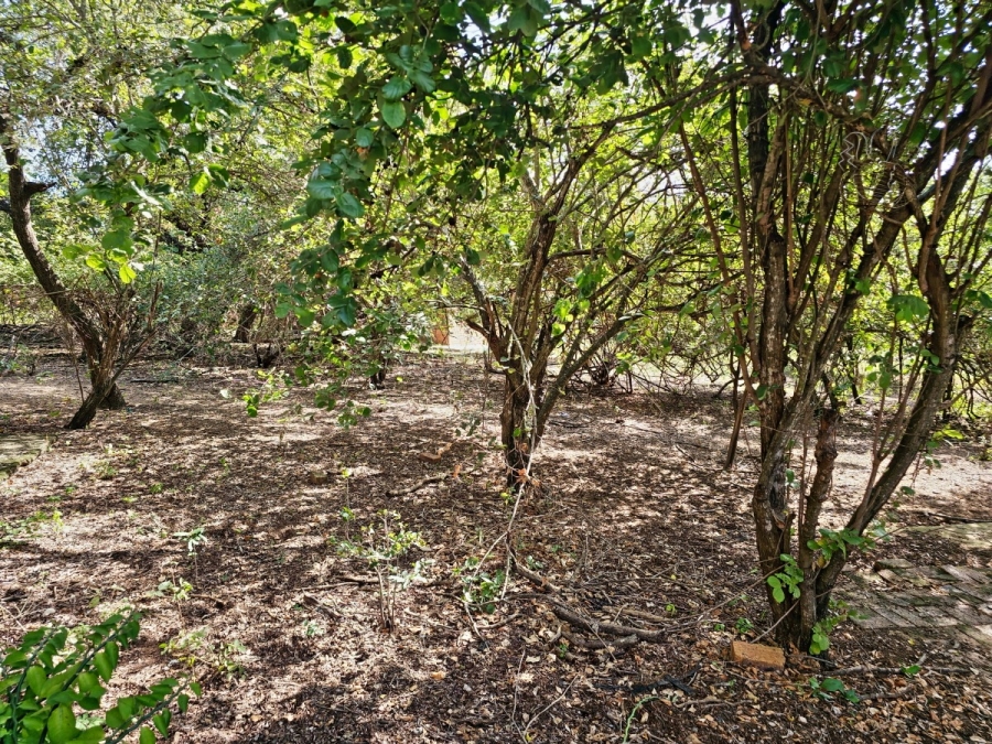 4 Bedroom Property for Sale in Marloth Park Mpumalanga