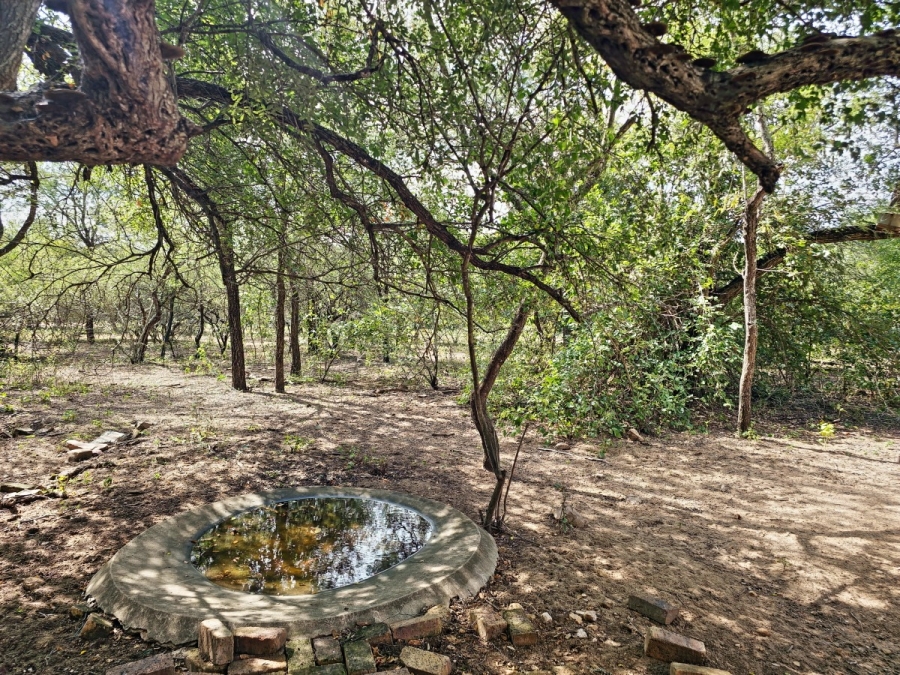 4 Bedroom Property for Sale in Marloth Park Mpumalanga