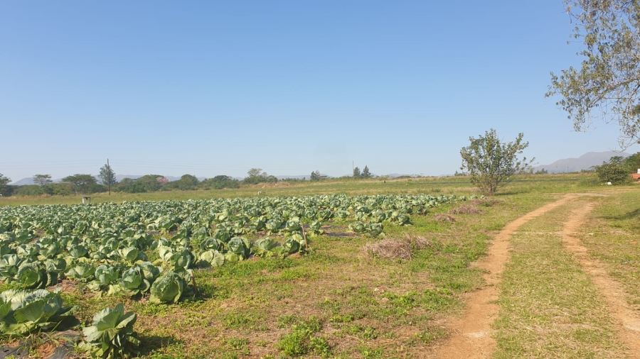 Commercial Property for Sale in Barberton Rural Mpumalanga