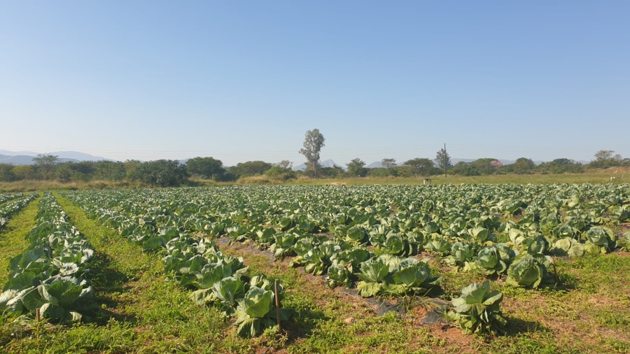Commercial Property for Sale in Barberton Rural Mpumalanga