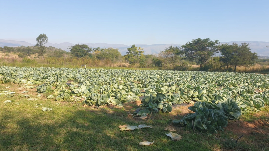 Commercial Property for Sale in Barberton Rural Mpumalanga