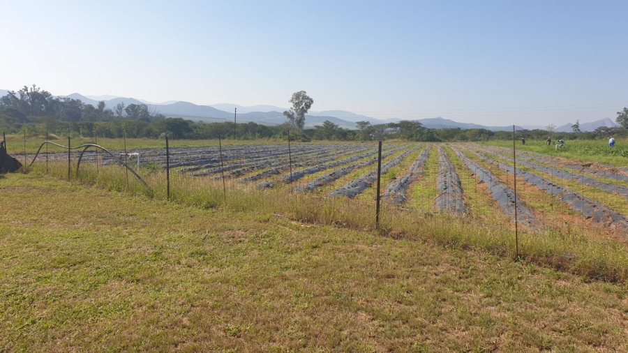 Commercial Property for Sale in Barberton Rural Mpumalanga