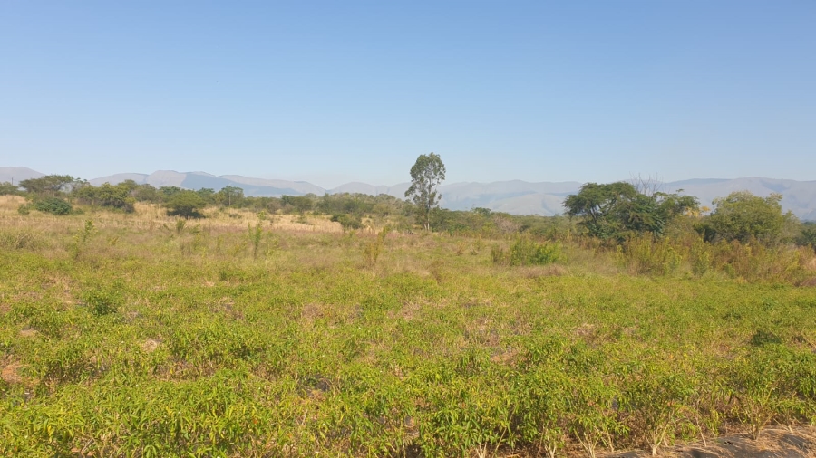 Commercial Property for Sale in Barberton Rural Mpumalanga