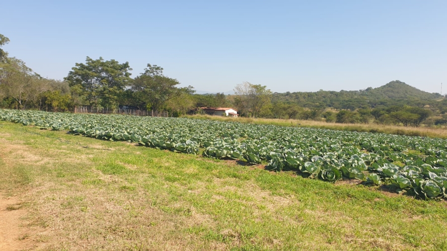 Commercial Property for Sale in Barberton Rural Mpumalanga