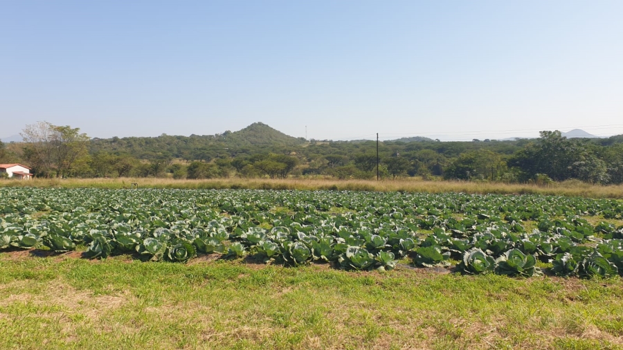 Commercial Property for Sale in Barberton Rural Mpumalanga