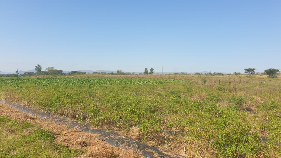 Commercial Property for Sale in Barberton Rural Mpumalanga