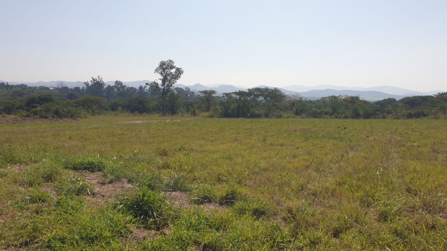 Commercial Property for Sale in Barberton Rural Mpumalanga