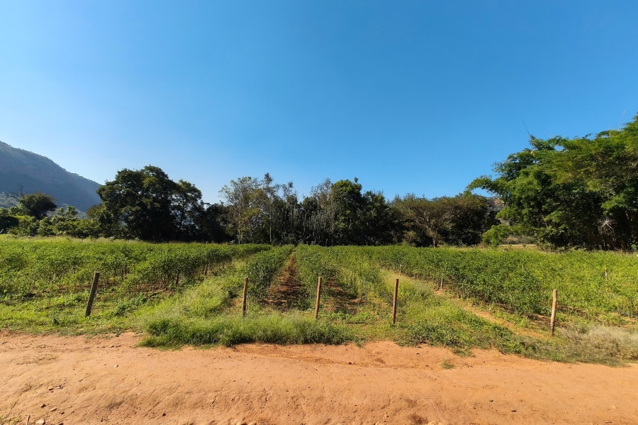 0 Bedroom Property for Sale in Nelspruit Rural Mpumalanga