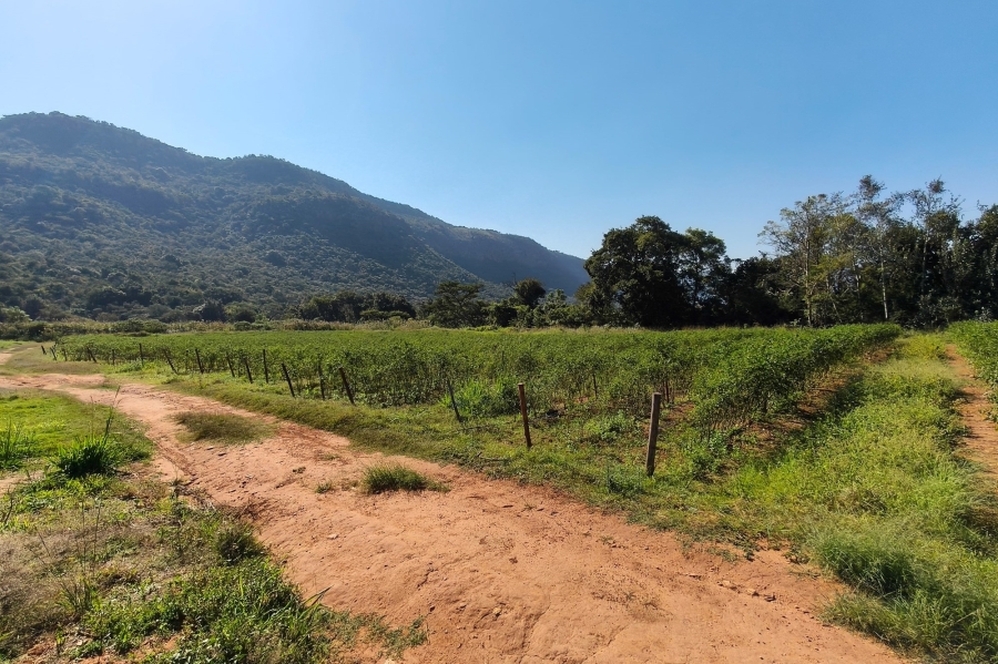 0 Bedroom Property for Sale in Nelspruit Rural Mpumalanga