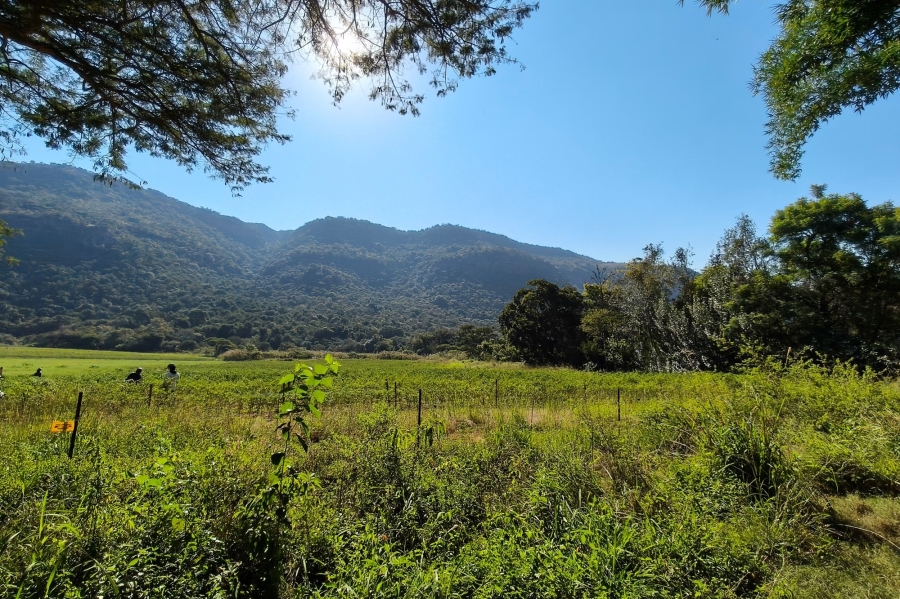 0 Bedroom Property for Sale in Nelspruit Rural Mpumalanga