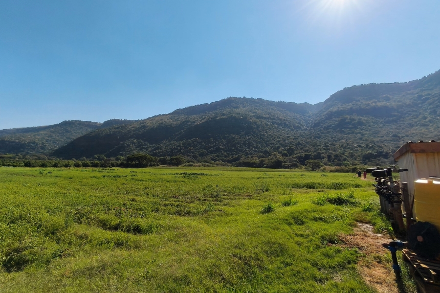 0 Bedroom Property for Sale in Nelspruit Rural Mpumalanga