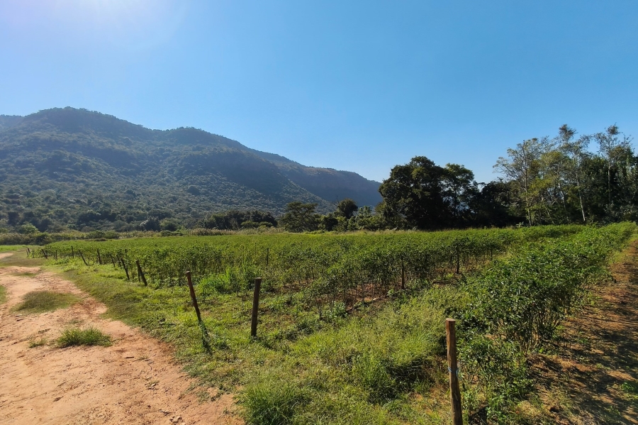 0 Bedroom Property for Sale in Nelspruit Rural Mpumalanga