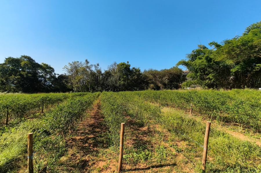 0 Bedroom Property for Sale in Nelspruit Rural Mpumalanga