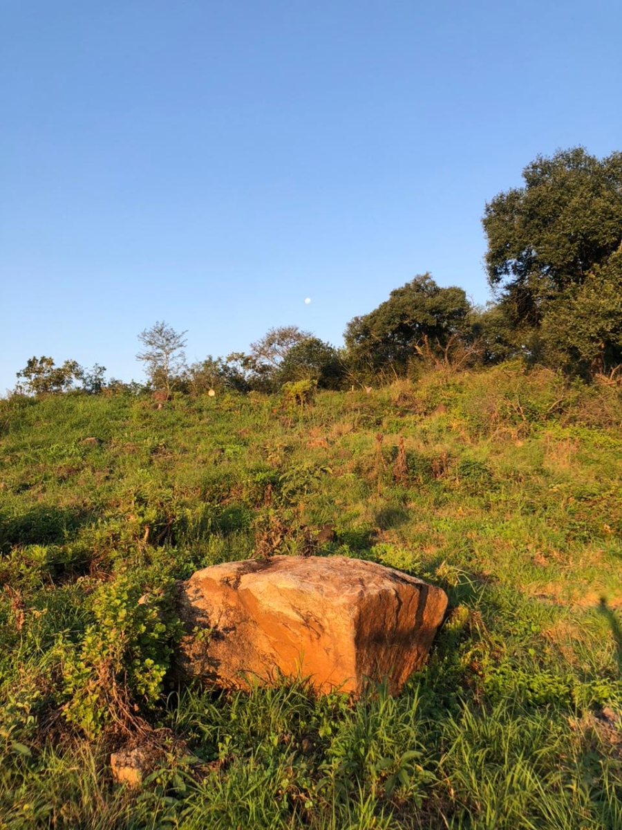 0 Bedroom Property for Sale in Drum Rock Mpumalanga