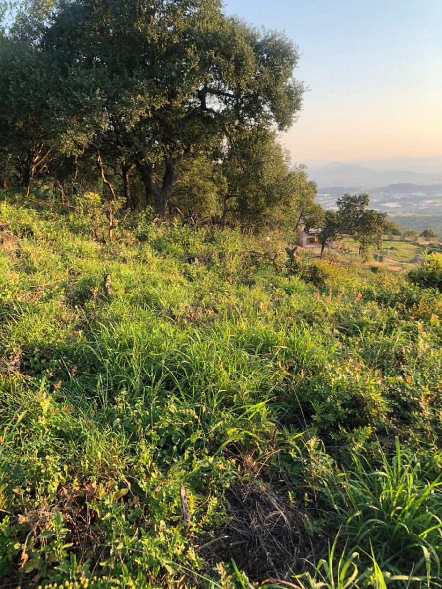 0 Bedroom Property for Sale in Drum Rock Mpumalanga