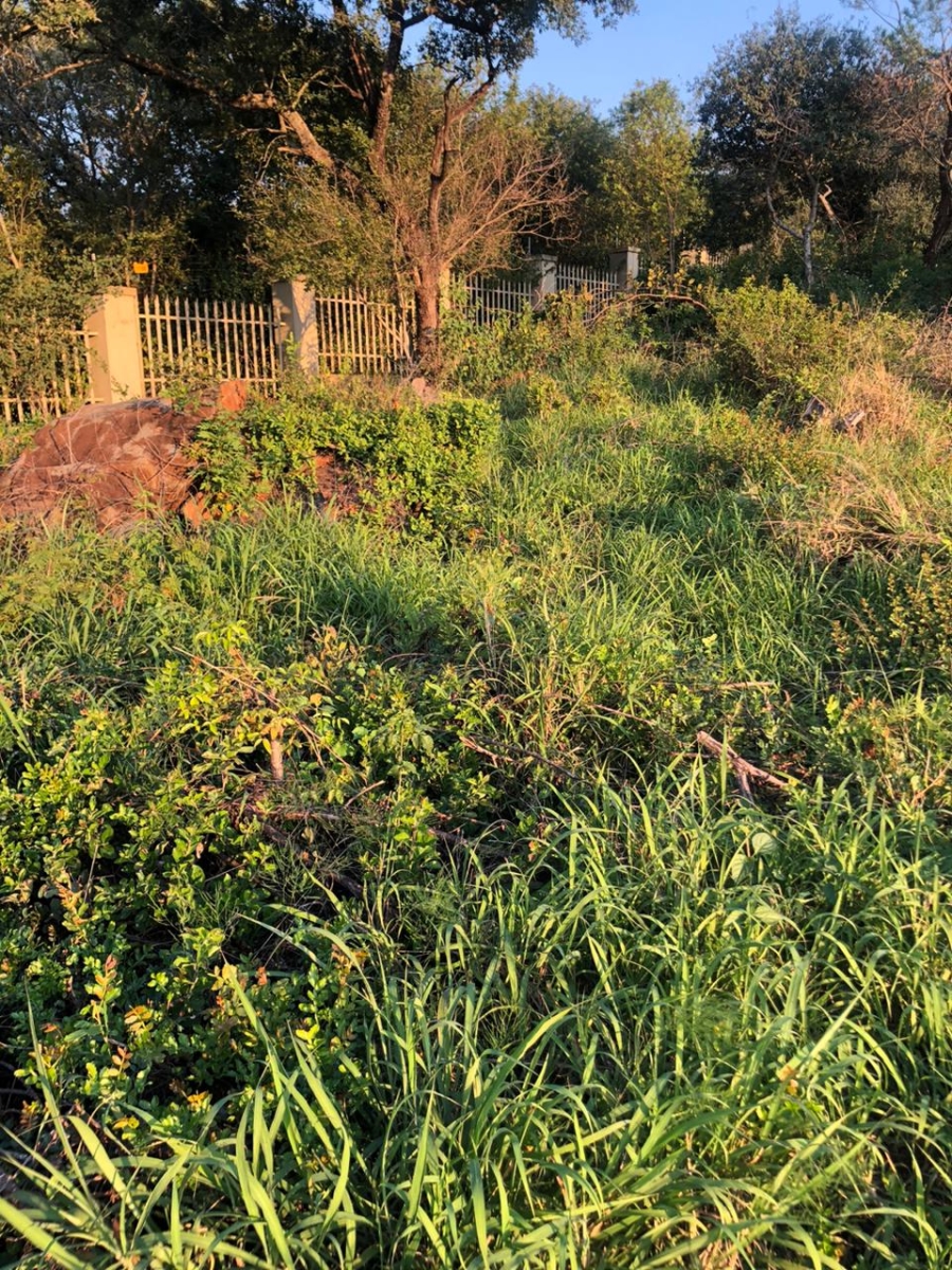 0 Bedroom Property for Sale in Drum Rock Mpumalanga