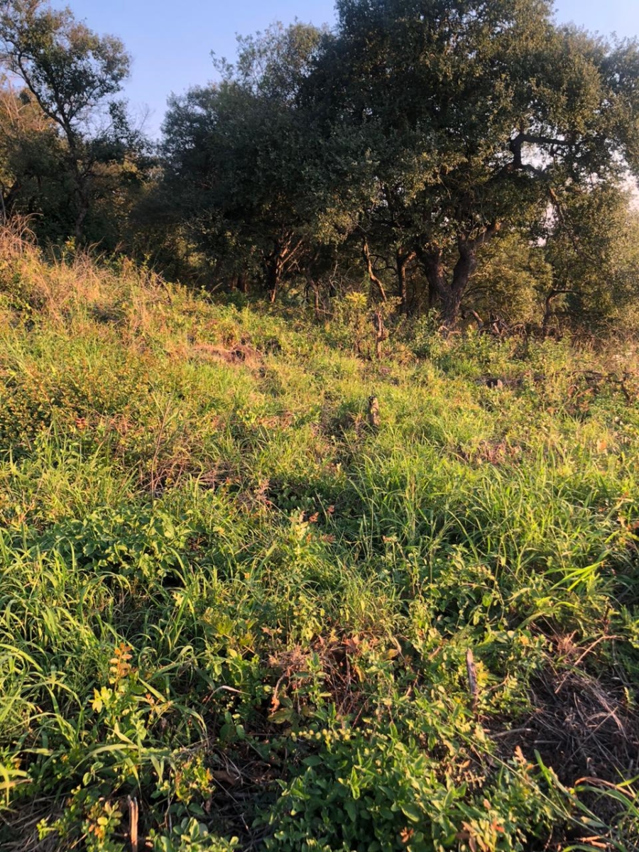 0 Bedroom Property for Sale in Drum Rock Mpumalanga
