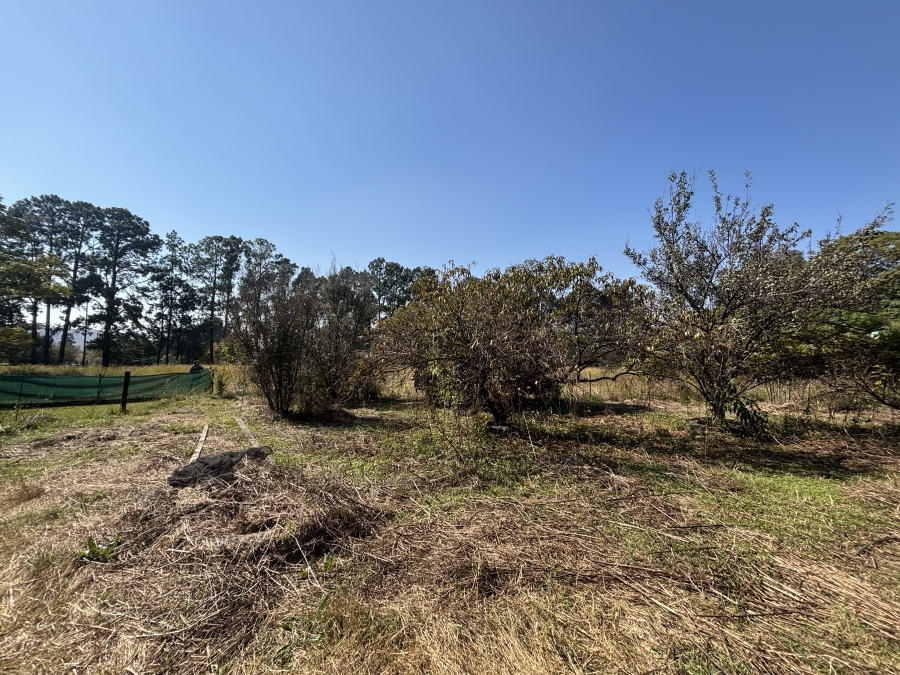 Commercial Property for Sale in Jackaroo A H Mpumalanga