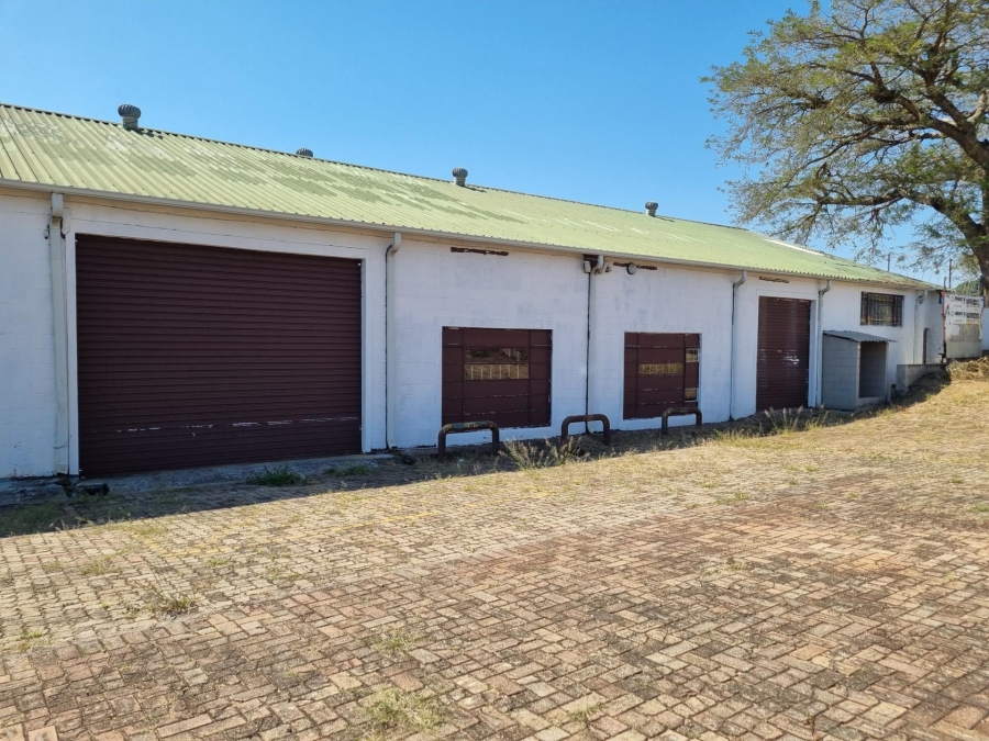 To Let commercial Property for Rent in Rocky Drift Mpumalanga