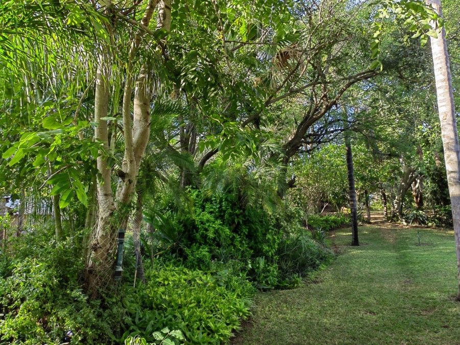 Commercial Property for Sale in Malelane Rural Mpumalanga