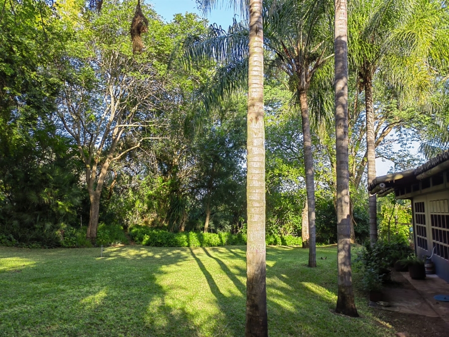 Commercial Property for Sale in Malelane Rural Mpumalanga