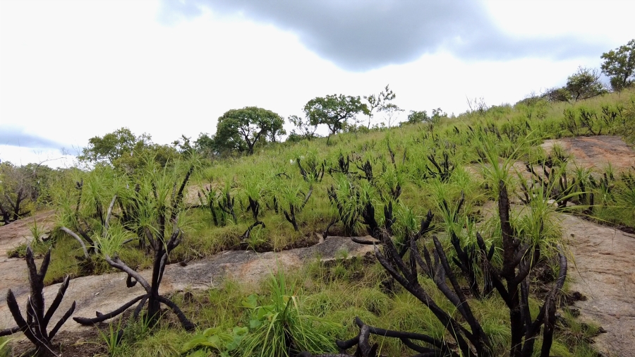 4 Bedroom Property for Sale in Nelspruit Rural Mpumalanga