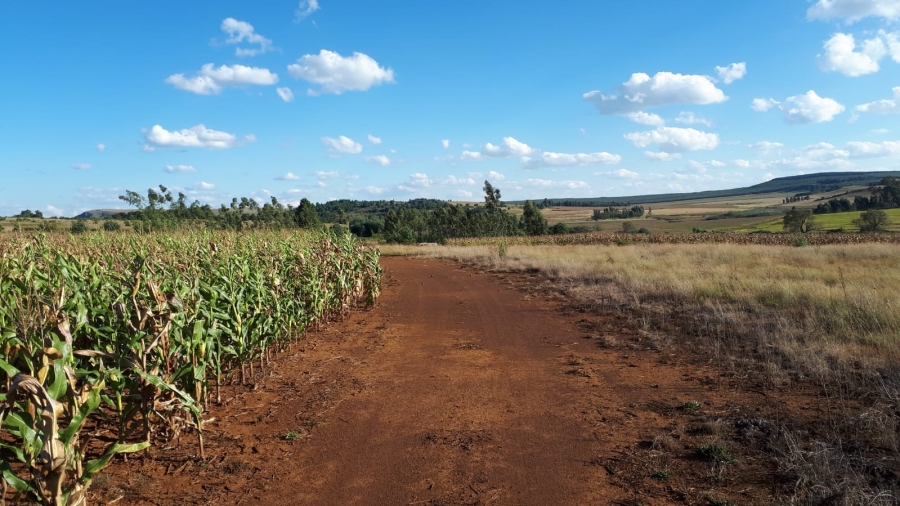 Commercial Property for Sale in Belfast Mpumalanga