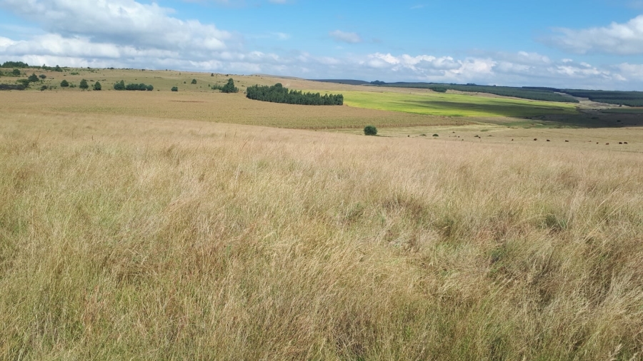 Commercial Property for Sale in Belfast Mpumalanga