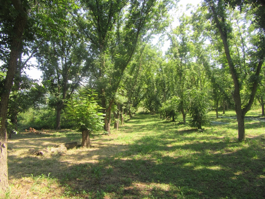 4 Bedroom Property for Sale in Nelspruit Rural Mpumalanga